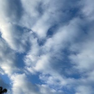 Meet your Posher, Eva